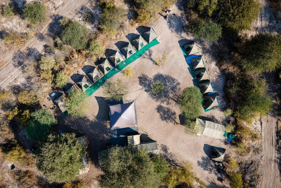Aerial view of Fly Camp tent rows nested among trees